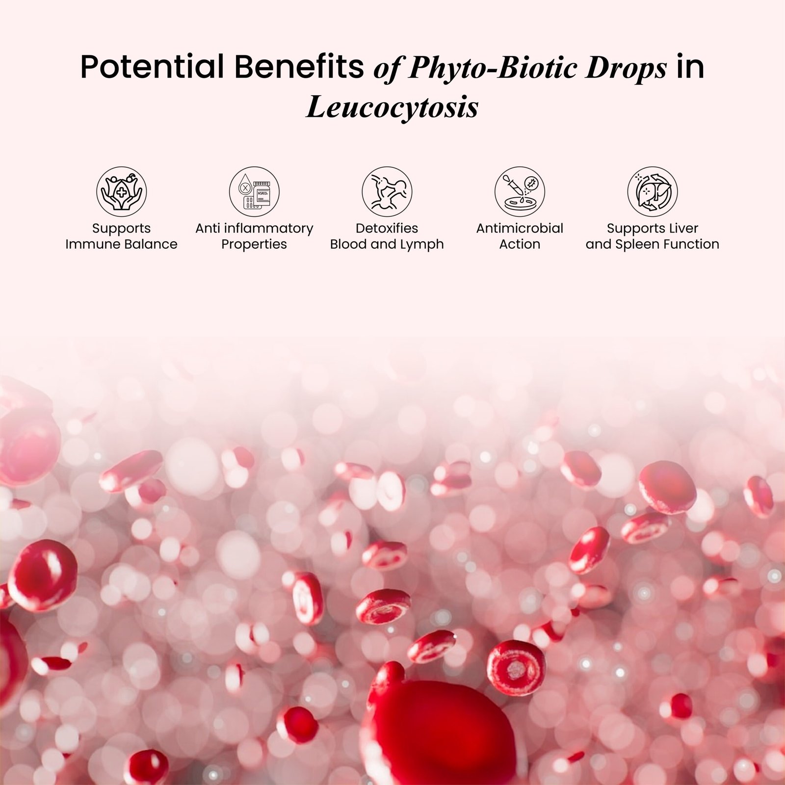 Blood & Lymphatic Disorders-03