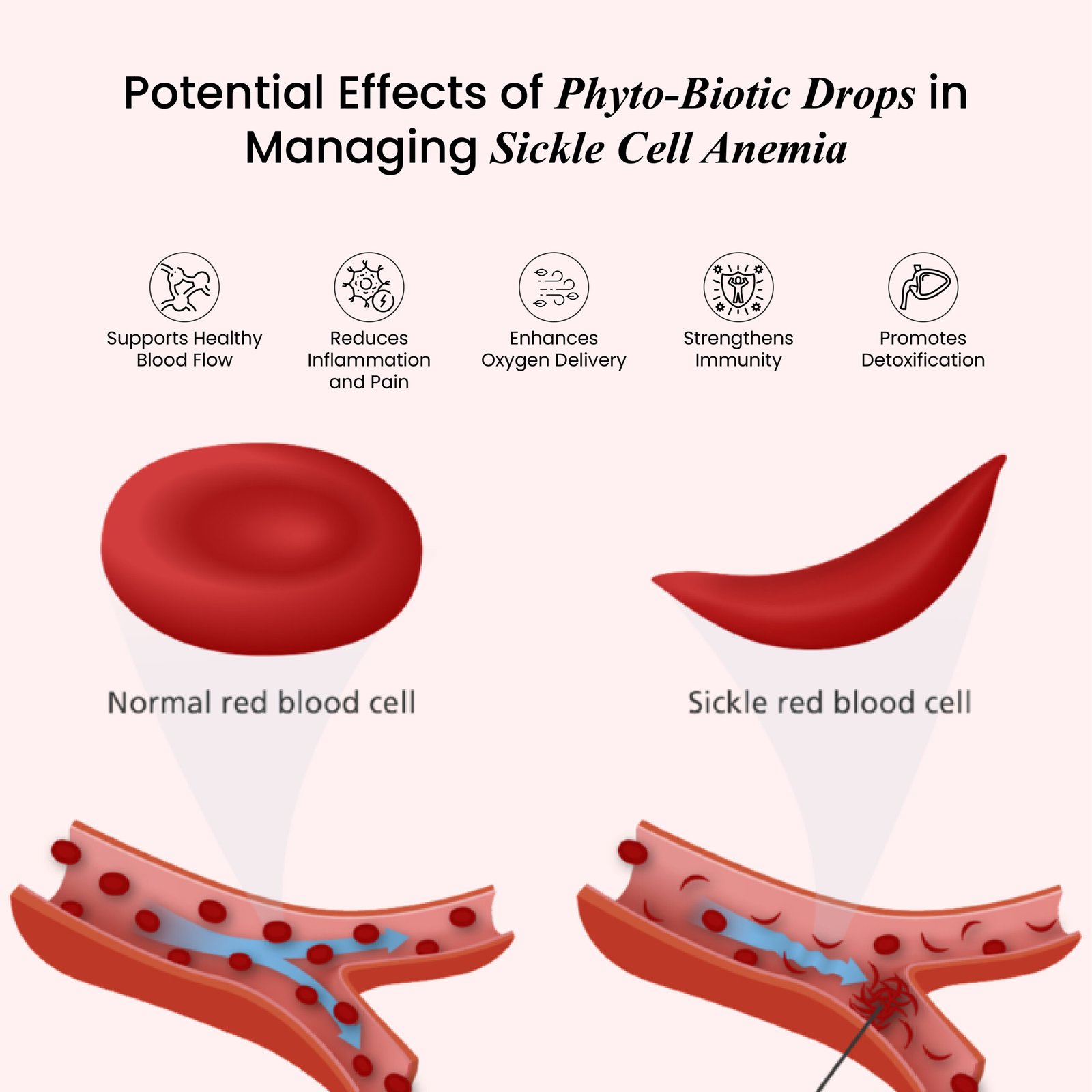 Blood & Lymphatic Disorders-11