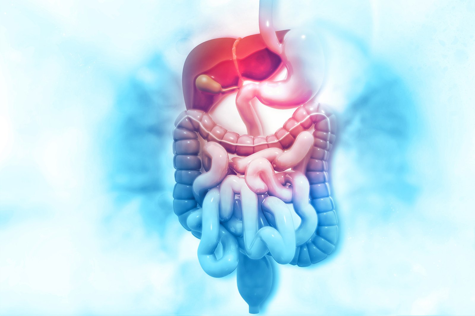 Liver-X-Receptors-LXR-Detoxing-Weight-Anti-Infection