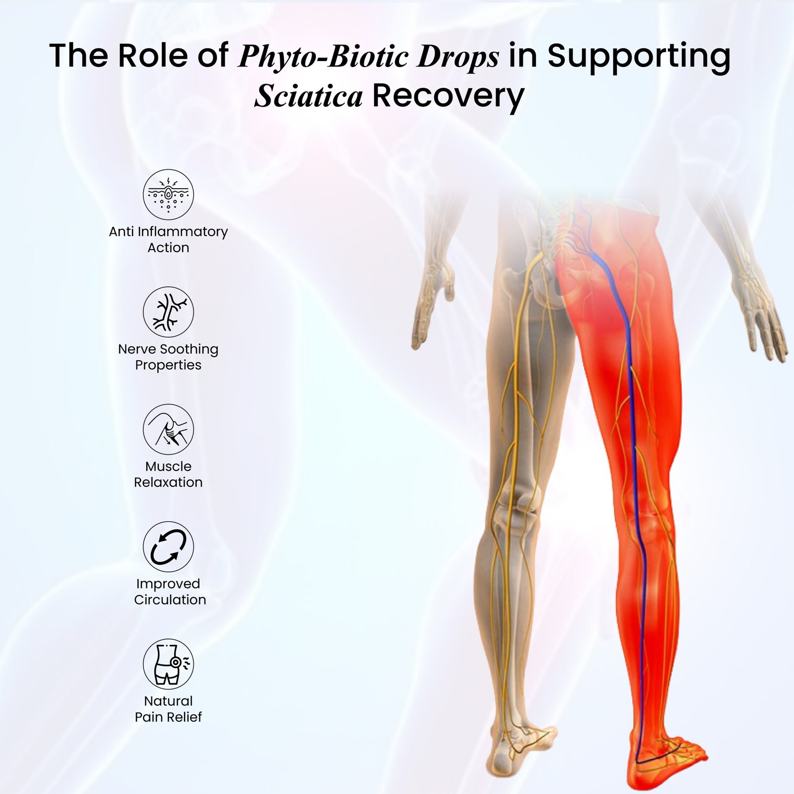 Musculoskeletal Disorders-19